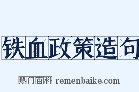 铁血政策造句是什么意思的图片